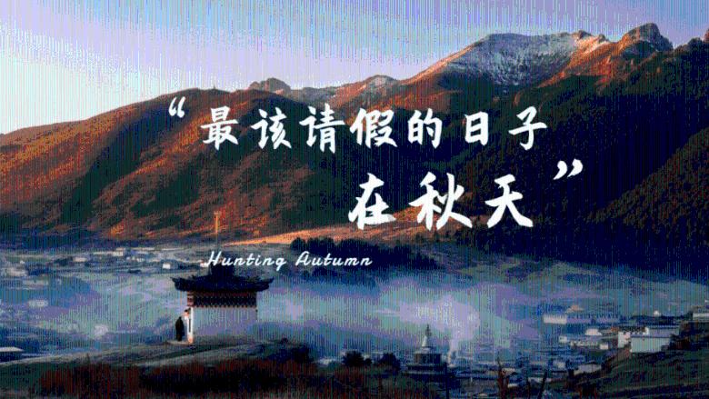 救援蓝鸦